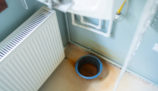 Best Ceiling water damage repair  in Allendale, SC