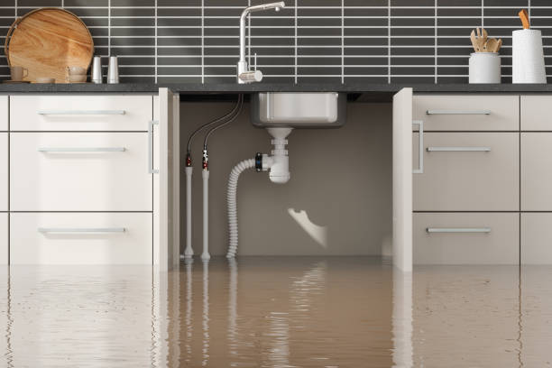 Best Sewage cleanup and water damage restoration  in Allendale, SC