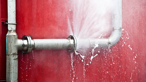 Best 24/7 water damage repair  in Allendale, SC